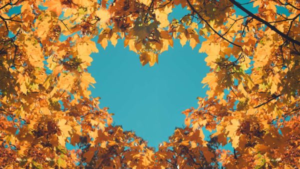 Heart-shaped sky through autumn trees in the park.